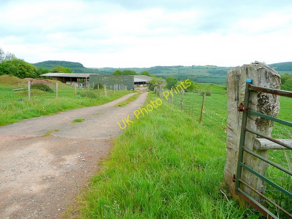 Photo 6"x4" Recent track to farm buildings Newcastle\/SO4417 c2009