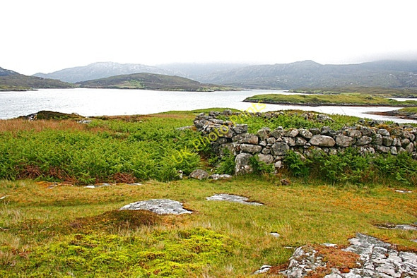 Photo 6"x4" Ruin by Loch Aineort Taobh a Tuath Loch Aineort c2009