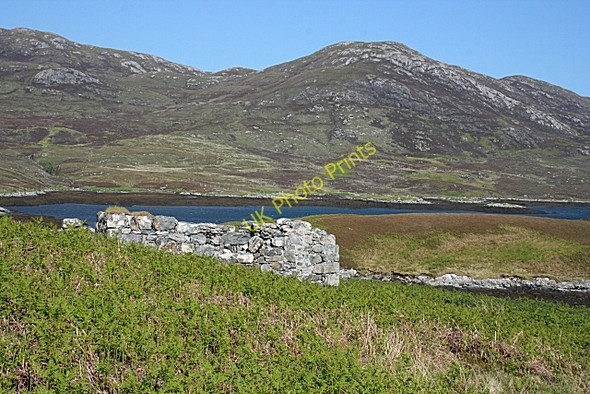 Photo 6"x4" Ruin by Loch Aineort Taobh a Tuath Loch Aineort c2009