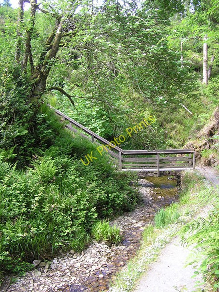 Photo 6"x4" Footbridge, Gortin Glen Forest Park Gortin c2009