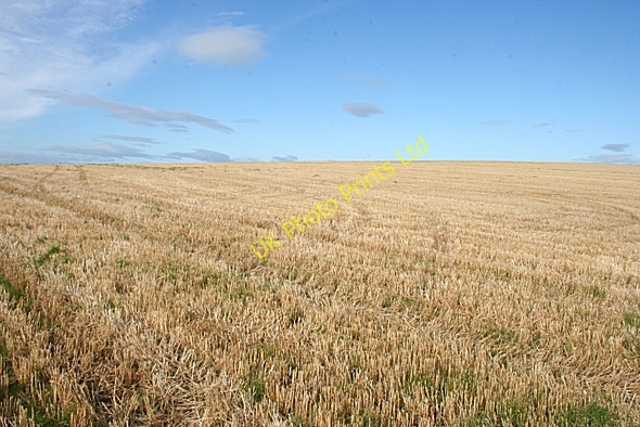 Photo 6"x4" Stubble Field at Seggat Kirkton of Auchterless c2007