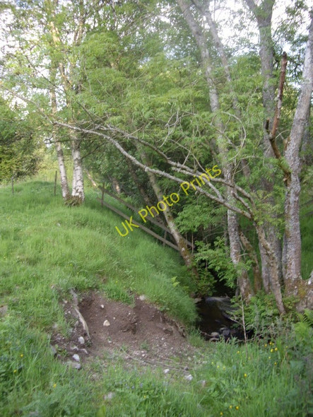 Photo 6"x4" Upstream Bogloch Burn Bridge of Canny c2009