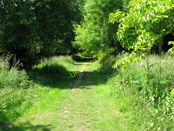 Photo 6"x4" View along the Royal Military Canal Path Hythe\/TR1634 c2009