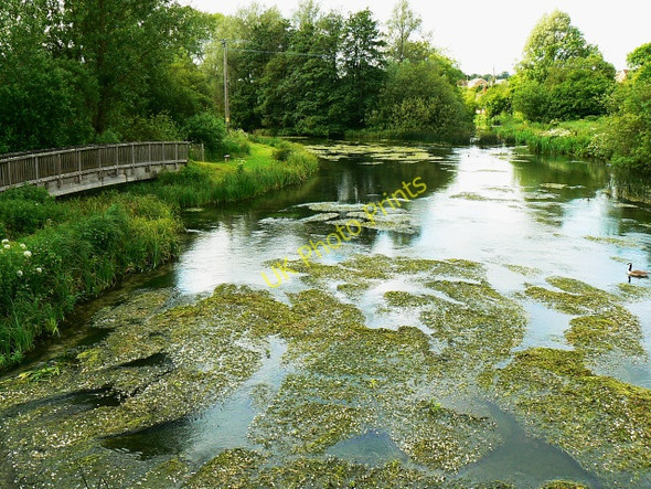 Photo 6"x4" River Kennet at Eddington Eddington\/SU3469 c2009