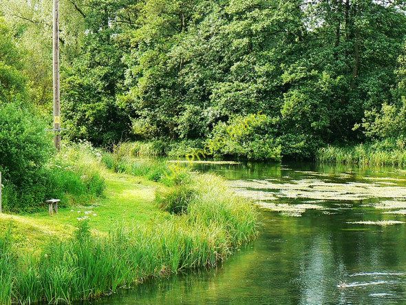 Photo 6"x4" A closer view of the Kennet at Eddington Eddington\/SU3469 c2009