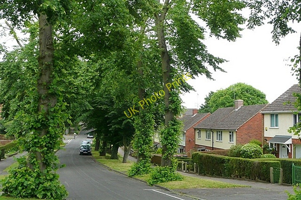 Photo 6"x4" Coley Avenue Reading c2009 P1