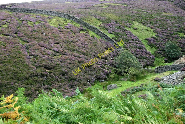 Photo 6"x4" Boundary Wall on Monk's Moor, Upper Teesdale Snaisgill c2005
