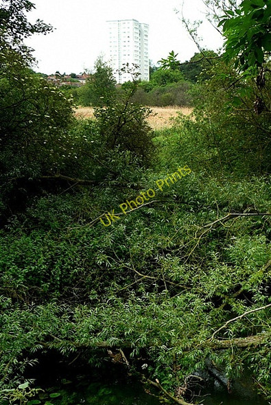 Photo 6"x4" View towards Coley Park flats Reading c2009
