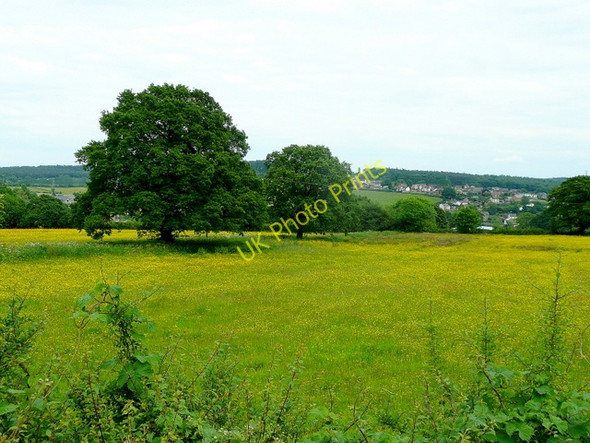 Photo 6"x4" Pastoral view towards Drybrook Ruardean Hill c2009