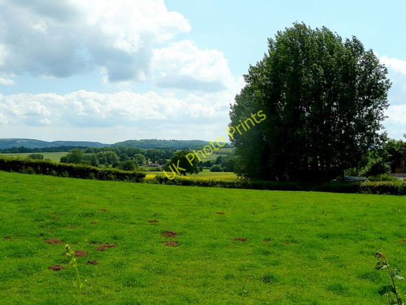 Photo 6"x4" Pasture land south of Burley Gate Wynn's Green c2009
