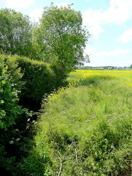 Photo 6"x4" The Little Lugg in summer Hillhampton c2009