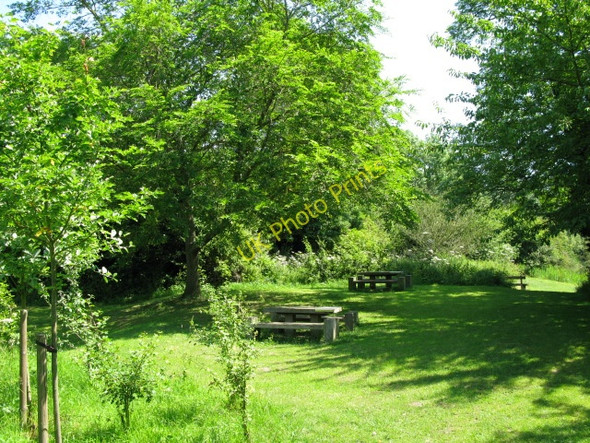 Photo 6"x4" Picnic area on the Royal Military Canal Path Palmarsh c2009