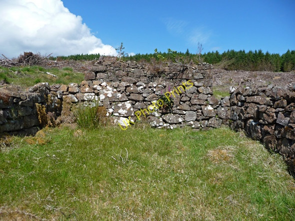 Photo 6"x4" Ruins at Forse Bhreitheimh Gillen c2009