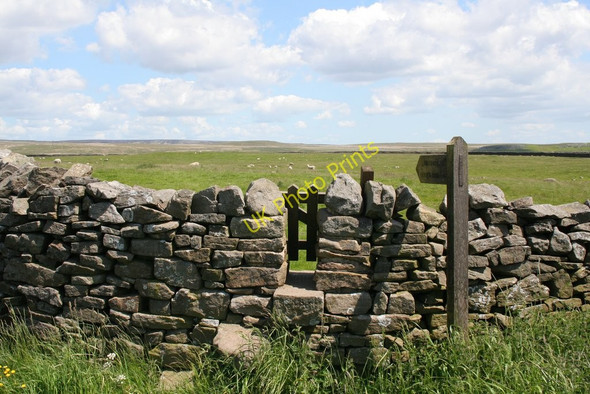 Photo 6"x4" Gated Stile near Yarnbury Grassington c2009
