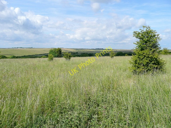 Photo 6"x4" Wiltshire downland Halfway\/ST8747 c2009