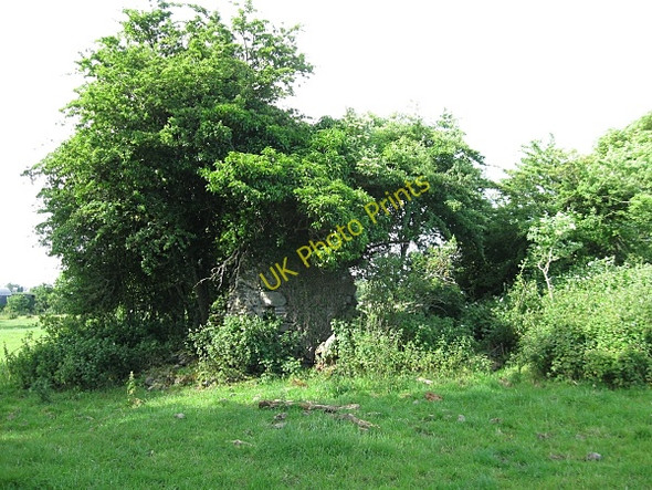 Photo 6"x4" Church Remains Dungarvan\/S6148 c2009