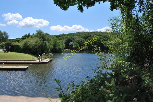 Photo 6"x4" Decoy Country Park Newton Abbot c2009