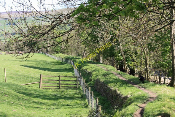 Photo 6"x4" Footpath by the Swale Spring End c2009