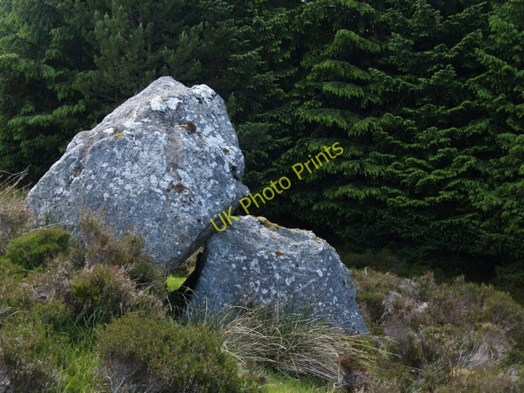 Photo 6"x4" Boulders in the forest Meall Dubh Ruigh an Fhraoich c2009