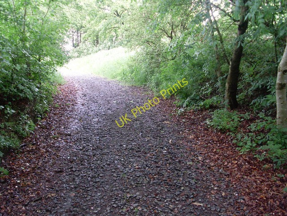 Photo 6"x4" Well-shaded path Broomhouse\/NS6662 c2009