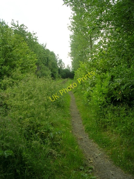 Photo 6"x4" Bridleway - Priesthorpe Road Pudsey\/SE2233 c2009
