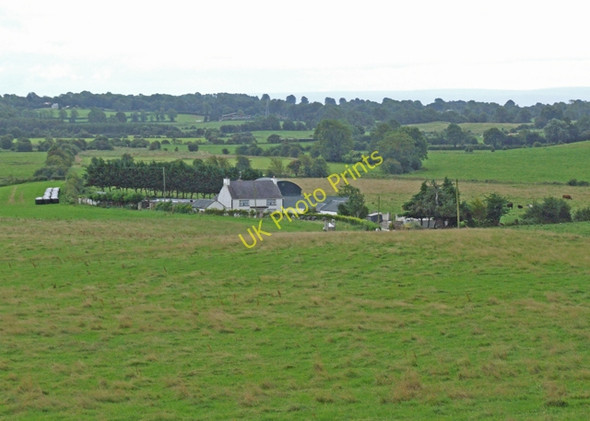 Photo 6"x4" Farm Co.Offaly Ballynahown c2008