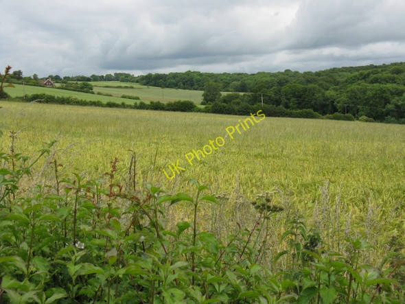 Photo 6"x4" Looking North From The Lane To Pencombe Maund Bryan c2009