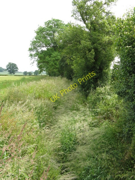 Photo 6"x4" Hidden Brook Hillhampton c2009