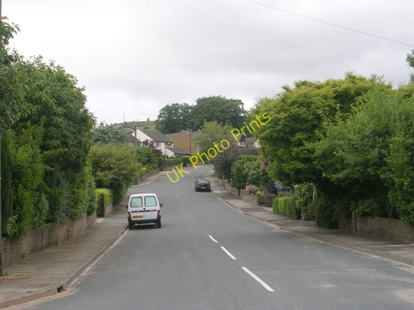 Photo 6"x4" The Narrows - Narrow Lane Harden\/SE0838 c2009
