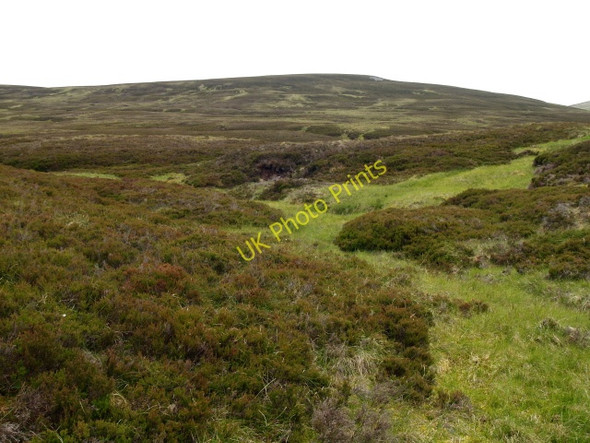 Photo 6"x4" Heather slopes above Geldie Lodge Allt Coire an t-Seilich\/NN9485 c2009