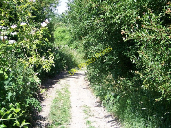 Photo 6"x4" The Old Shaston Drove near Harnham Netherhampton c2009