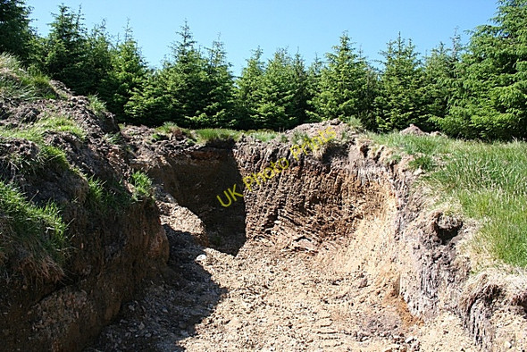 Photo 6"x4" Forest Quarry Mayo\/NJ3135 c2009