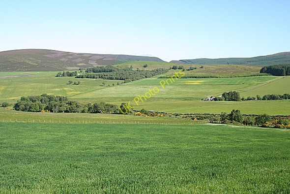 Photo 6"x4" Near Upper Enoch Dufftown c2009
