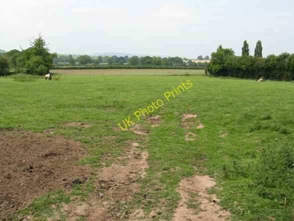 Photo 6"x4" Fields Of Preston Wynne Amberley\/SO5447 c2009