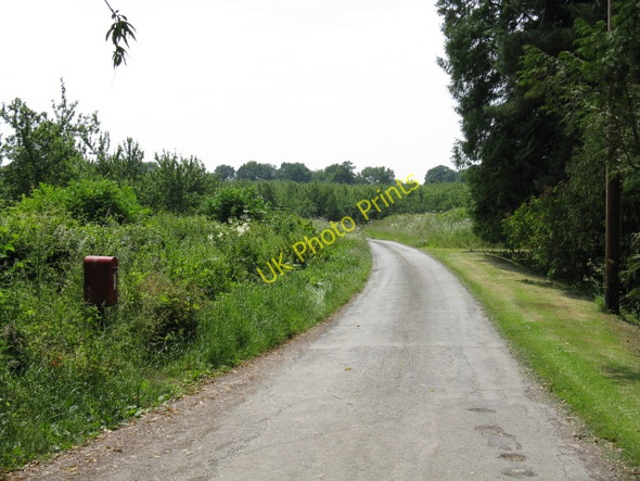 Photo 6"x4" Lane To Urdimarsh Vaul c2009