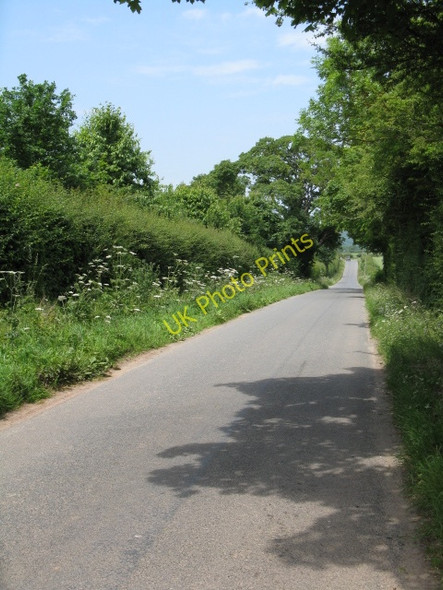Photo 6"x4" Lane To Litmarsh Urdimarsh c2009
