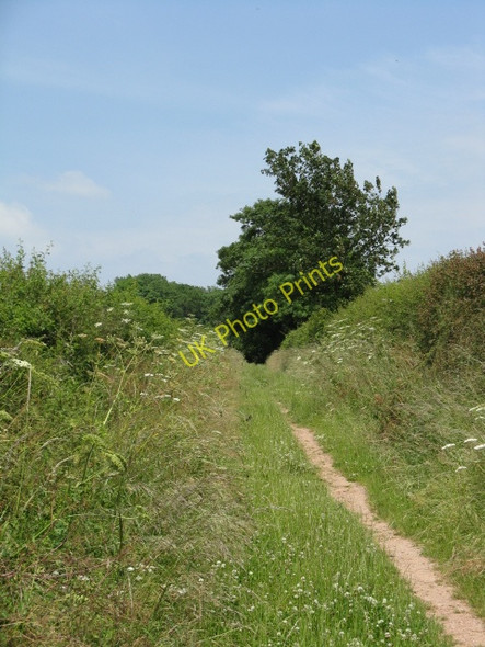 Photo 6"x4" Bridleway To Franklands Gate Burmarsh\/SO5346 c2009