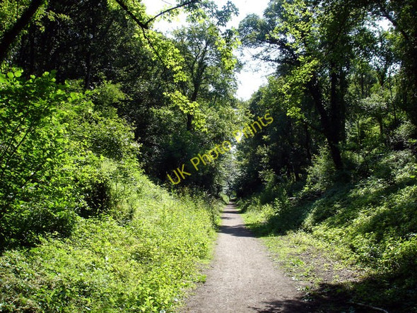 Photo 6"x4" Hadleigh Railway Walk Hadleigh\/TM0242 c2009