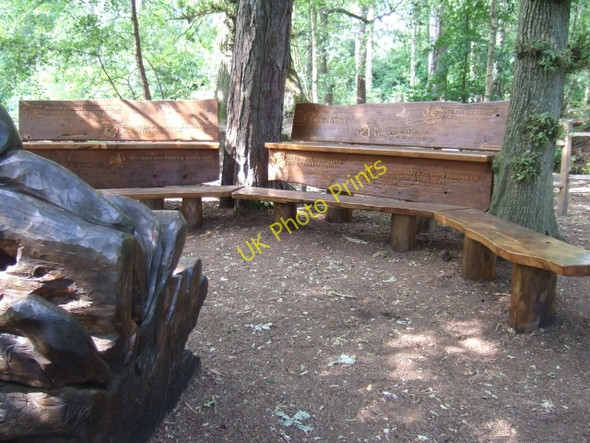 Photo 6"x4" Outdoor classroom, Stover Country Park Heathfield\/SX8376 c2009
