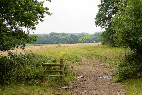 Photo 6"x4" Footpath beside Hoe Moor Creek Lower Swanwick c2009