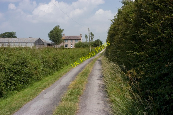 Photo 6"x4" Poplar Grove farm Winmarleigh Moss c2009