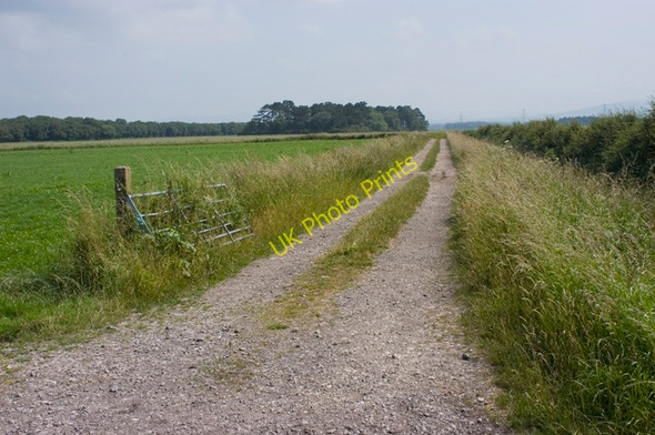 Photo 6"x4" Farm Track near Cogie Hill Winmarleigh Moss c2009