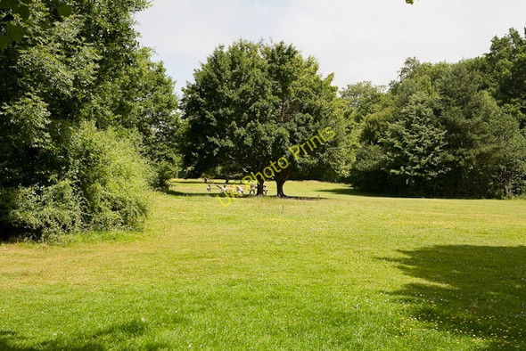 Photo 6"x4" Picnic area in Manor Farm Country Park Hedge End\/SU4912 c2009