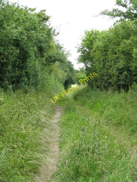 Photo 6"x4" Footpath To Marden Auberrow c2009