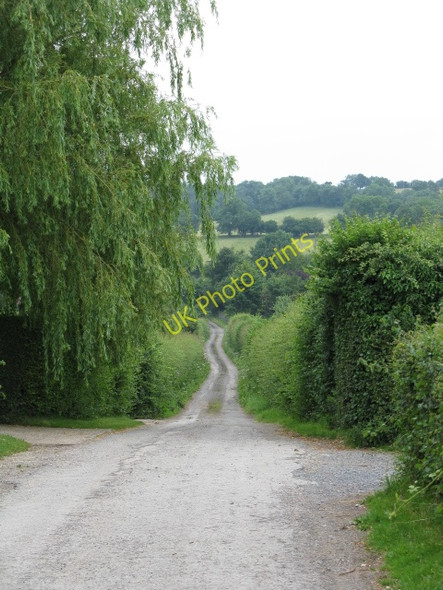 Photo 6"x4" Straight On For Upper Dormington Dormington c2009