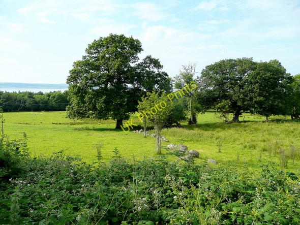 Photo 6"x4" Pastoral view near Crymlyn Abergwyngregyn c2009