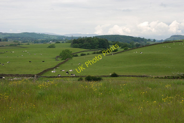 Photo 6"x4" Fields south of Barnsdale Burneside c2009
