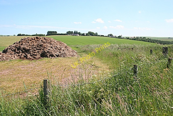 Photo 6"x4" Dung Heap Garmond c2009