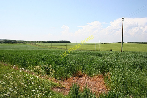 Photo 6"x4" Near Cowieshillock New Byth c2009 P1