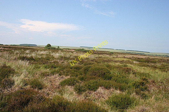 Photo 6"x4" Kinbeam Hill Netherbrae c2009 P1